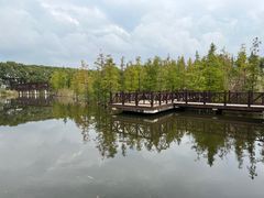 -同里国家湿地公园