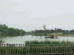 -瑶湖郊野森林公园