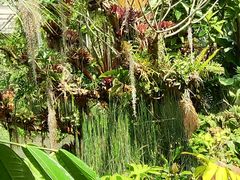 -昆明植物园