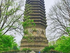 -玲珑塔公园