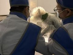 -狗舍宠物医院(四季商业广场店)