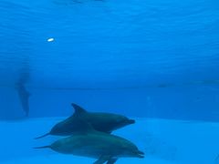 -横琴湾水世界