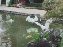 -广富林宰相府酒店·水云间
