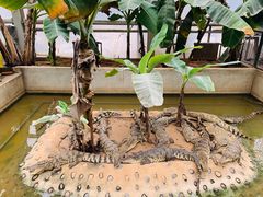 -石家庄市动物园