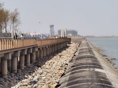 -东疆建设开发纪念公园