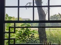 -三忘湖 SWANSEEN(柳荫公园店)