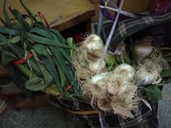 -北京新发地农产品批发市场-特菜交易厅