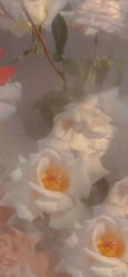 -小梨·OndaPro·专业脱毛连锁机构