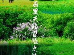 -百里天路