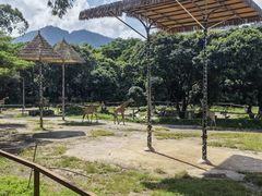 -深圳野生动物园