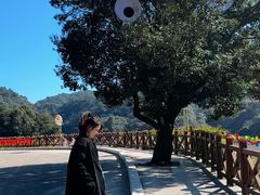 -广州市石门国家森林公园
