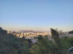 -仙岳公园