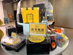-浣熊唱片店(上海影城店)