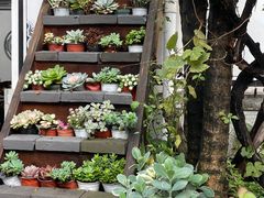 -四方小吃·白族庭院餐厅
