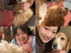 -萌喵咖啡屋(人民东路4号口M16商铺店)