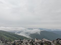 -凤凰山国家森林公园