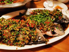 -老号尤兔头(玉堂店)
