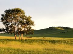 -塞罕坝国家级自然保护区