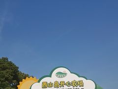 -苏州太湖西山岛开心农场