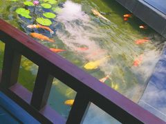 -濮园 · 四合院餐厅