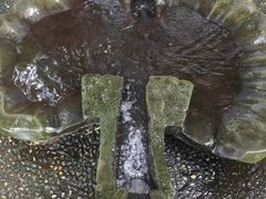 -成都市活水公园