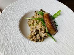 -Oyster Talks 四度蚝法餐厅