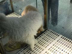 -乐宠宠物店(世纪金源店)