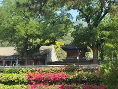 -红螺寺
