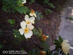 -山西乌金山旅游区