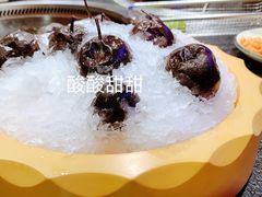 -挂雪铁锅炖大鹅