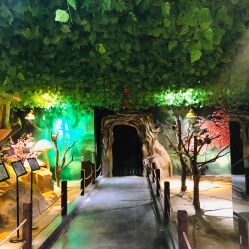 点击看大图 -酷嗒动物文化乐园(cutezoo西溪乐天城店)