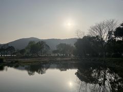 -长广溪湿地公园