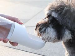 -PETKIT小佩宠物(古北店)