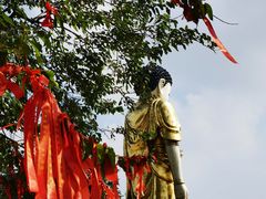 -冶父山国家森林公园