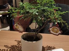 -CURRY YA 熟成咖哩專門店(深圳湾万象城店)