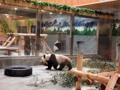 -西安秦岭野生动物园