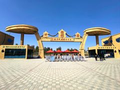 -金塔沙漠胡杨林景区