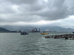 -罗源湾8号渔排