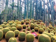-南山植物园