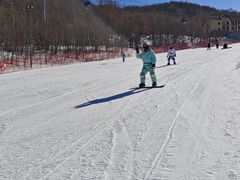-亚布力新体委滑雪场