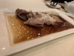 -利苑酒家(北角店)