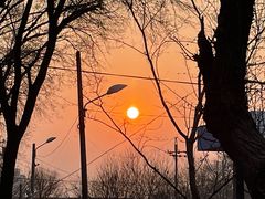 -德记牛肉社潮汕鲜切牛肉火锅(中心路店)