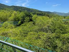 -陶祖圣境风景区