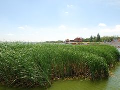 -包头南海湿地景区