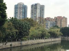 -晓港公园