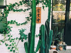 -彳亍咖啡·这里(水湾路店)