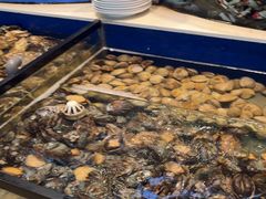 -海天盛宴新派海鲜自助餐厅(群力店)