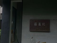 -猫里有甜