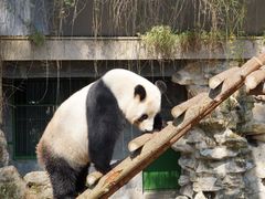 -安吉竹博园