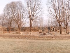 -北京野生动物园